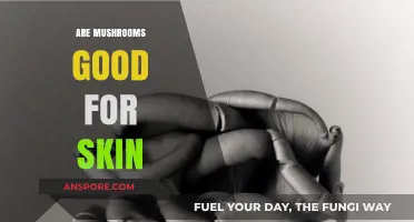 Mushrooms for Skin: Unlocking Natural Benefits for a Healthy Glow