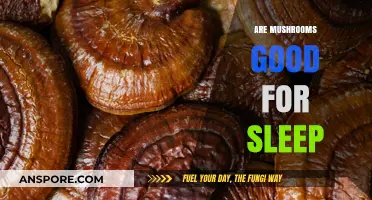Mushrooms and Sleep: Unlocking Nature's Secrets for Better Rest