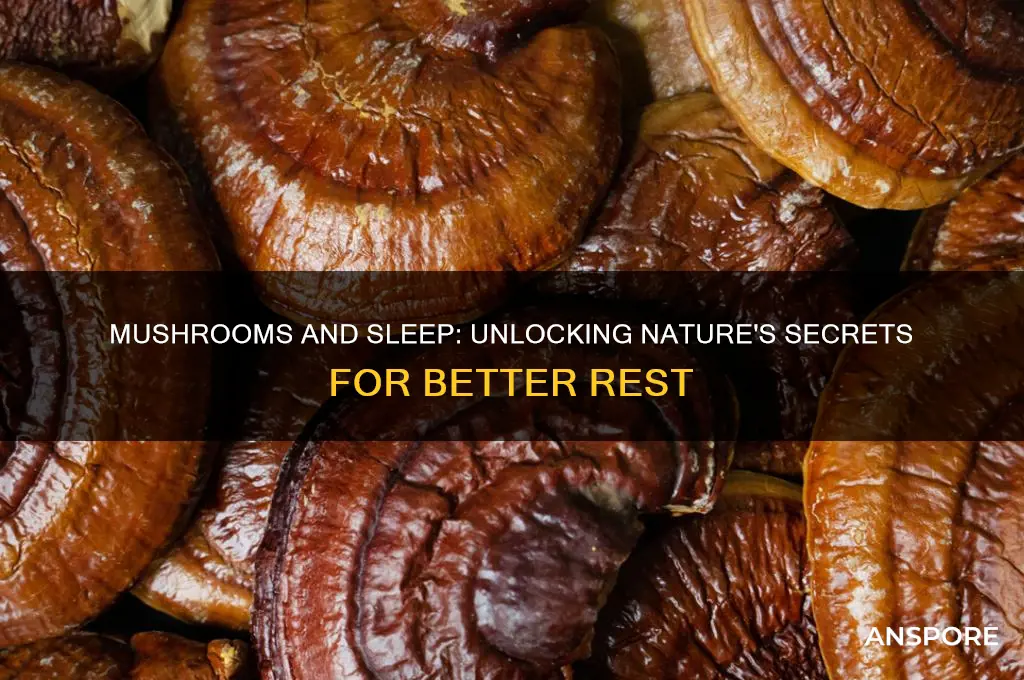are mushrooms good for sleep