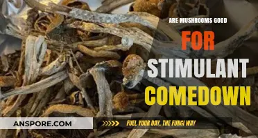 Mushrooms for Stimulant Comedown: Natural Relief or Risky Remedy?