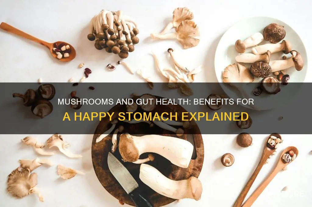 are mushrooms good for stomach