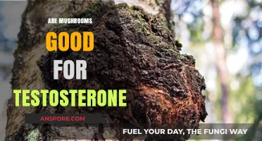 Mushrooms and Testosterone: Unveiling the Surprising Health Benefits