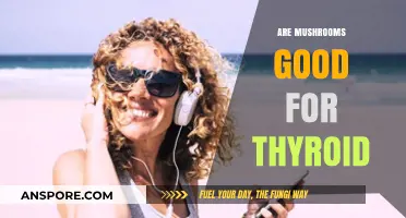 Mushrooms and Thyroid Health: Benefits, Risks, and Nutritional Insights