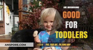 Mushrooms for Toddlers: Nutritional Benefits and Safe Serving Tips