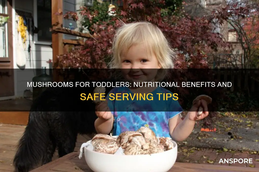 are mushrooms good for toddlers