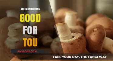 Mushrooms: Unlocking Health Benefits and Nutritional Power for You