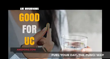 Mushrooms and UC: Exploring Their Potential Benefits for Gut Health