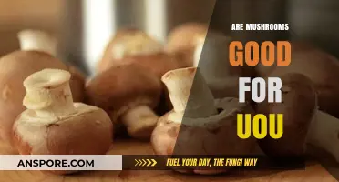 Mushrooms: Unlocking Nutritional Benefits and Health Advantages for You