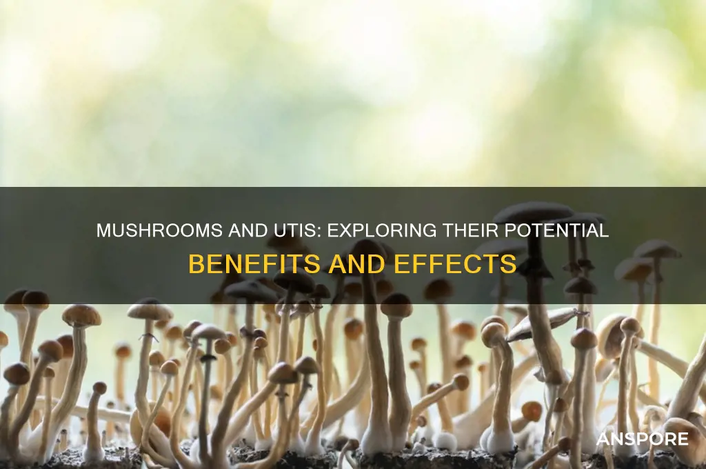 are mushrooms good for uti