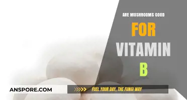 Mushrooms and Vitamin B: Unlocking Nutritional Benefits for Optimal Health