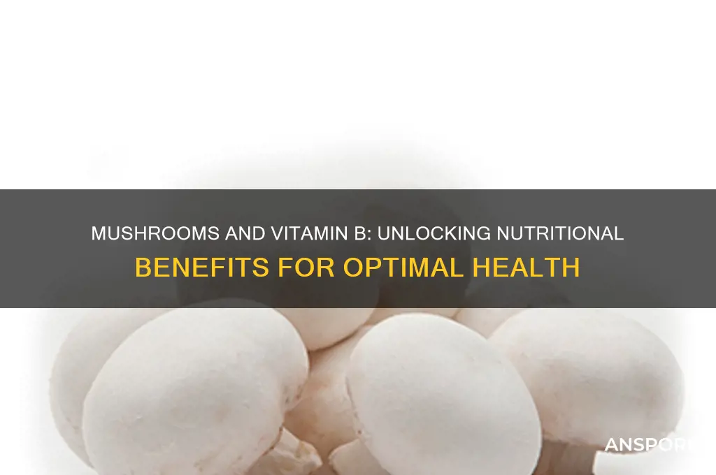 are mushrooms good for vitamin b