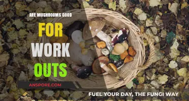 Mushrooms and Workouts: Unlocking Performance Benefits for Fitness Enthusiasts