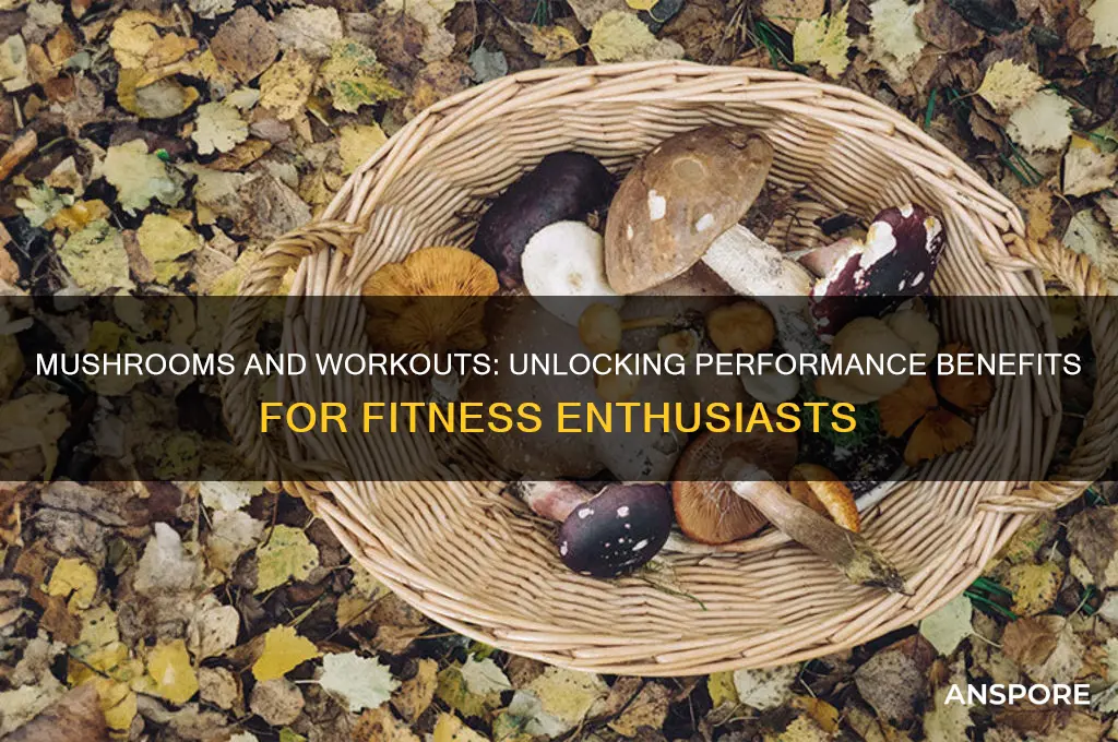 are mushrooms good for work outs
