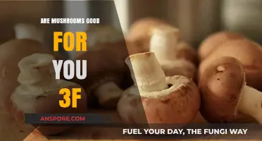 Mushrooms: Unlocking Health Benefits and Nutritional Power for Wellness