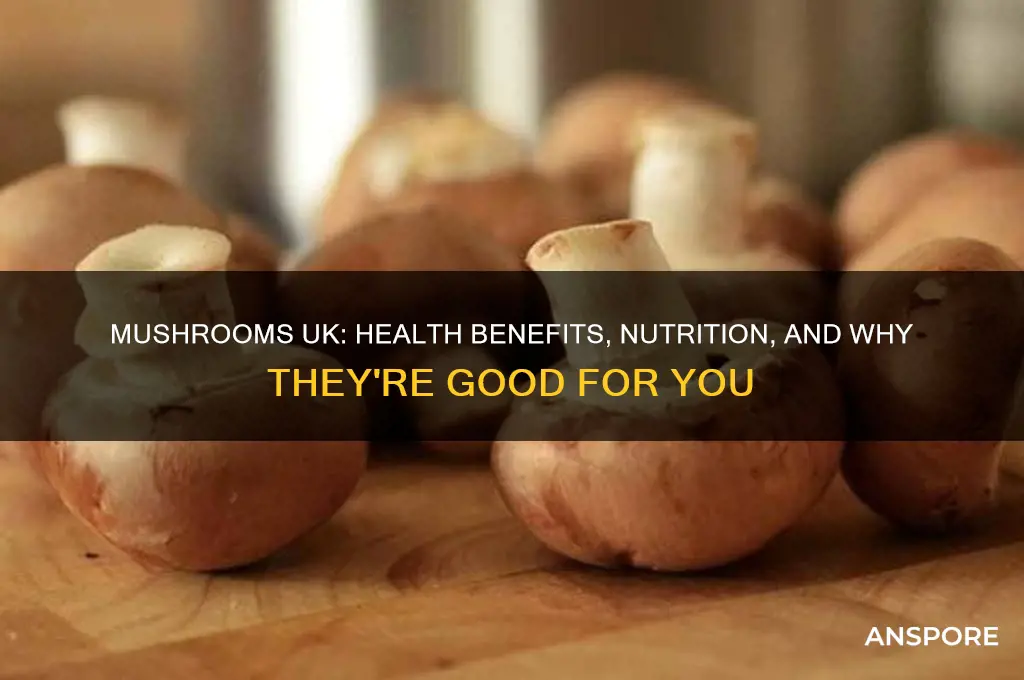 are mushrooms good for you uk