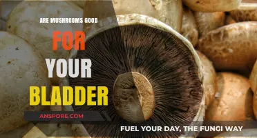 Mushrooms and Bladder Health: Benefits, Risks, and Nutritional Insights