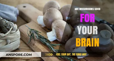 Mushrooms and Brain Health: Unlocking Cognitive Benefits and Nutritional Power