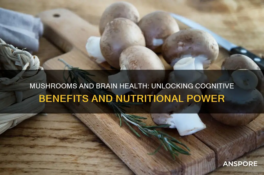 are mushrooms good for your brain