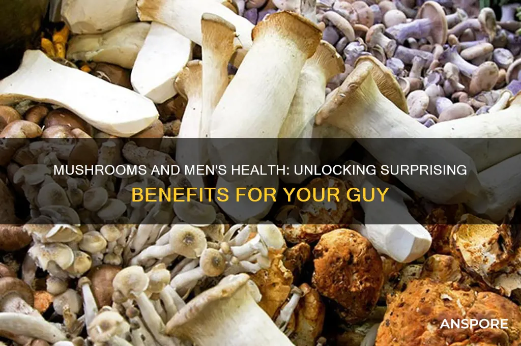 are mushrooms good for your guy