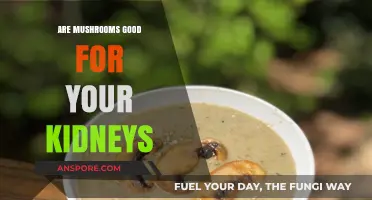 Mushrooms and Kidney Health: Benefits, Risks, and Nutritional Insights
