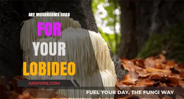 Mushrooms and Brain Health: Boosting Your Lobideo Naturally