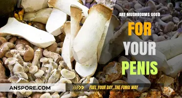 Mushrooms and Men's Health: Boosting Penile Function Naturally