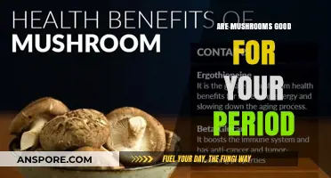 Mushrooms and Menstruation: Unlocking Period Benefits and Nutritional Power