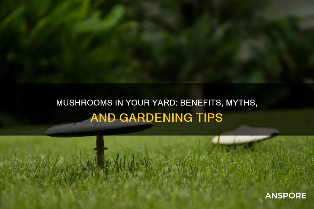 are mushrooms good for your yard