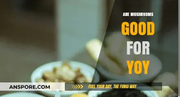 Mushrooms: Unlocking Health Benefits and Nutritional Power for You