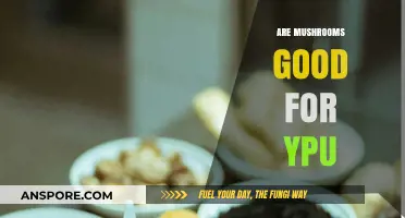 Mushrooms: Unlocking Health Benefits and Nutritional Power for You