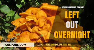 Overnight Mushroom Safety: Risks of Leaving Mushrooms Out Unrefrigerated