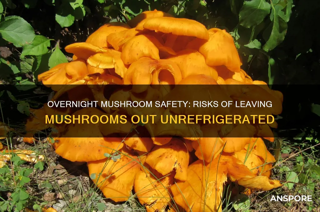 are mushrooms good if left out overnight
