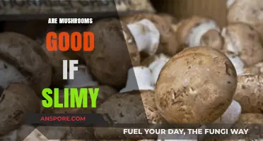Slimy Mushrooms: Safe to Eat or Toss? Expert Insights