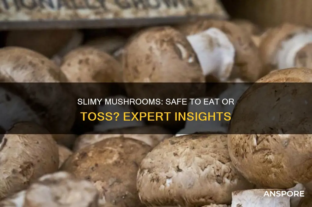 are mushrooms good if slimy