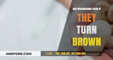 Mushrooms Turning Brown: Are They Still Safe and Nutritious to Eat?