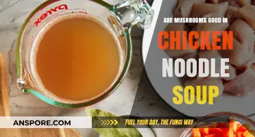 Mushrooms in Chicken Noodle Soup: Flavor Boost or Unnecessary Addition?