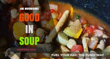 Mushrooms in Soup: A Flavorful, Nutritious, and Hearty Addition?