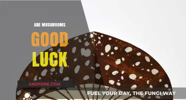 Mushrooms and Fortune: Unveiling the Lucky Charm Myth or Reality