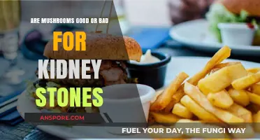 Mushrooms and Kidney Stones: Benefits, Risks, and Dietary Considerations