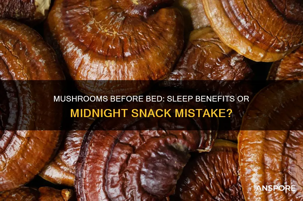are mushrooms good to eat before bed