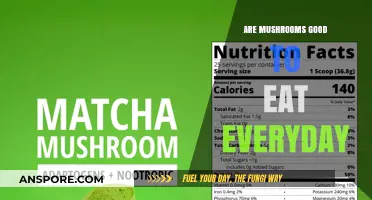 Mushrooms Daily: Nutritional Benefits and Potential Risks Explained