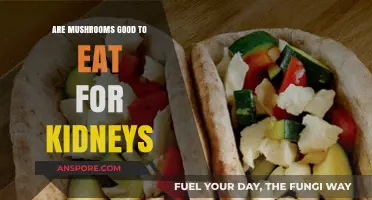 Mushrooms and Kidney Health: Benefits, Risks, and Nutritional Insights