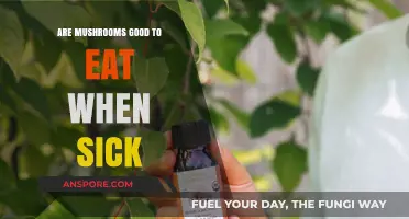 Mushrooms and Illness: Nutritional Benefits for Recovery and Immune Support