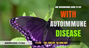 Mushrooms and Autoimmune Health: Benefits, Risks, and Dietary Considerations