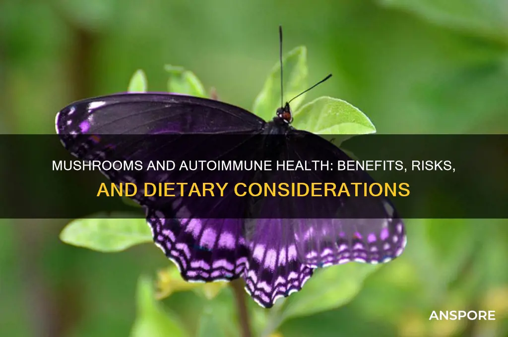 are mushrooms good to eat with autoimmune disease