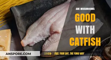 Mushrooms and Catfish: A Flavorful Culinary Match or Miss?