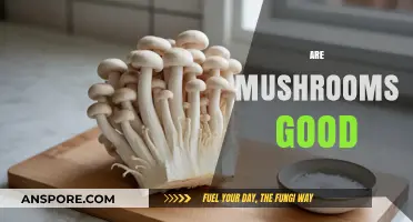 Are Mushrooms Good for You? Unveiling Their Health Benefits and Risks