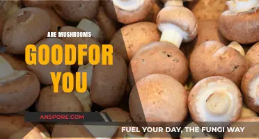 Mushrooms: Healthy Superfood or Fungal Fad?