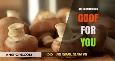 Mushrooms: Superfood or Super-Dangerous?