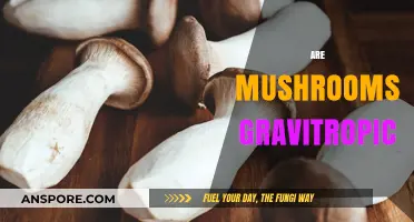 Mushrooms: Do They Grow with Gravity?